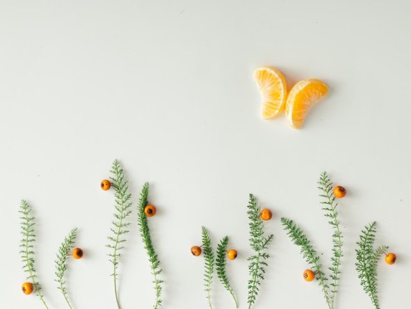 朱自清《荷塘月色》