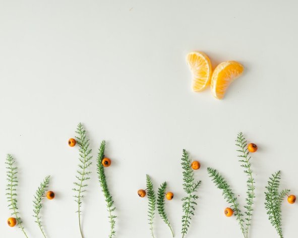 朱自清《荷塘月色》