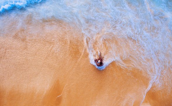 白鸟 叶芝 现代诗