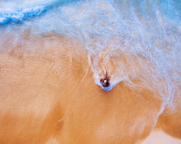 白鸟 叶芝 现代诗